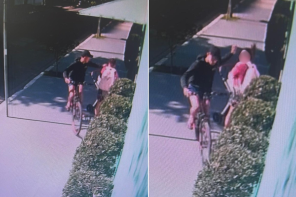 Mulher com criança em carrinho de bebê é roubada por criminoso em frente a porta de escola no litoral de SP; VÍDEO