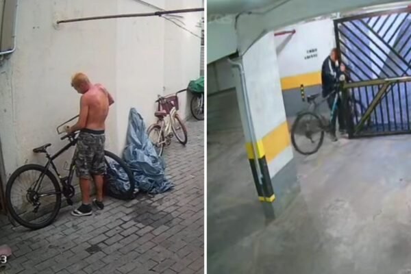 Homem que invadiu prédios e cometeu série de furtos é identificado por câmeras e preso em Santos; VÍDEO Homem que invadiu prédios e cometeu série de furtos é identificado por câmeras e preso em Santos; VÍDEO