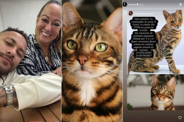 Mãe de Neymar Jr. pede ajuda para encontrar gata desaparecida no litoral de SP