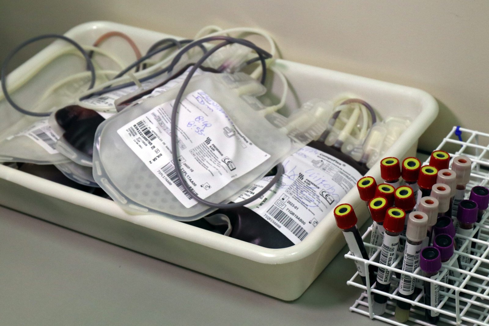 Baixada em Pauta #239: Mitos e falta de informação afastam doadores de sangue; entenda como é simples salvar vidas