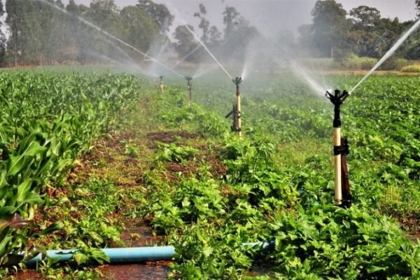 Comissão debate papel da irrigação frente às mudanças climáticas