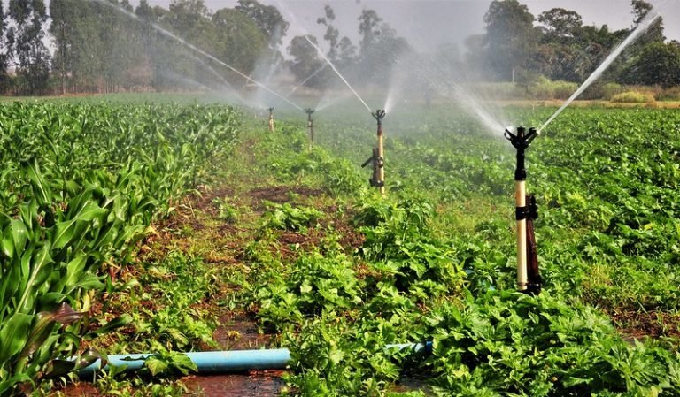 Comissão debate papel da irrigação frente às mudanças climáticas