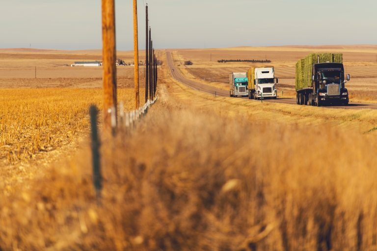 Comissão promove seminário sobre relações trabalhistas no transporte rodoviário de cargas