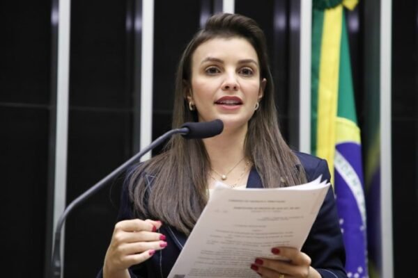 Comissão debate criação do Dia Nacional do Alho Brasileiro