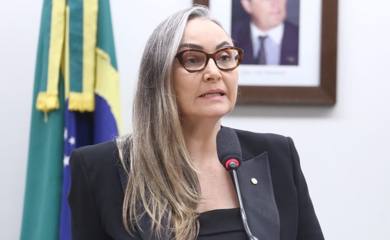 Comissão debate futuro da linha férrea Tronco Sul em Santa Catarina