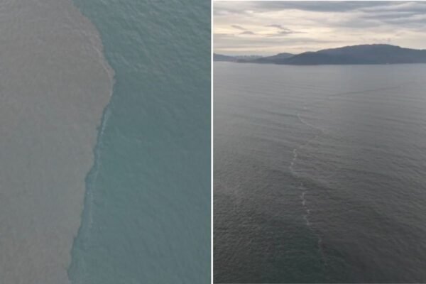Drone registra mancha no mar do litoral de SP no Dia Mundial dos Oceanos; VÍDEO
