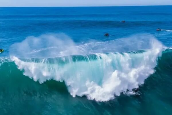 Oceanos estão à beira da morte; ainda dá tempo de salvá-los?