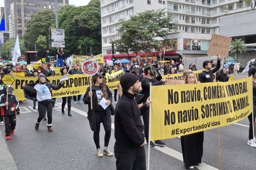 Ong Patre participa de protesto em São Paulo contra exportação de animais vivos por via marítima