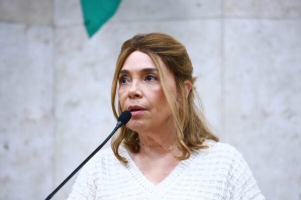 Vereadora denuncia ameaças e Câmara de São Paulo se solidariza