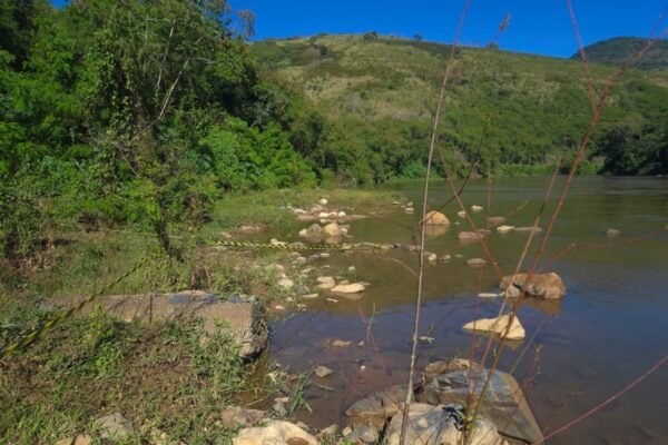 MP aciona autoridades e pede medidas sobre vazamento de óleo no Rio Ribeira de Iguape; população está em alerta