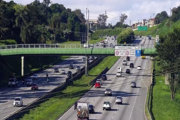 Ecovias Imigrantes é multada em mais de R$ 100 mil por falhas na limpeza da Via Anchieta