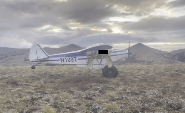 Chifres de alce e excesso de peso causaram queda de avião nos EUA, diz relatório