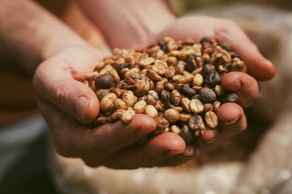 Quem paga a conta da nova tarifa de Trump? Brasil perde mercado, e preços podem subir nos EUA