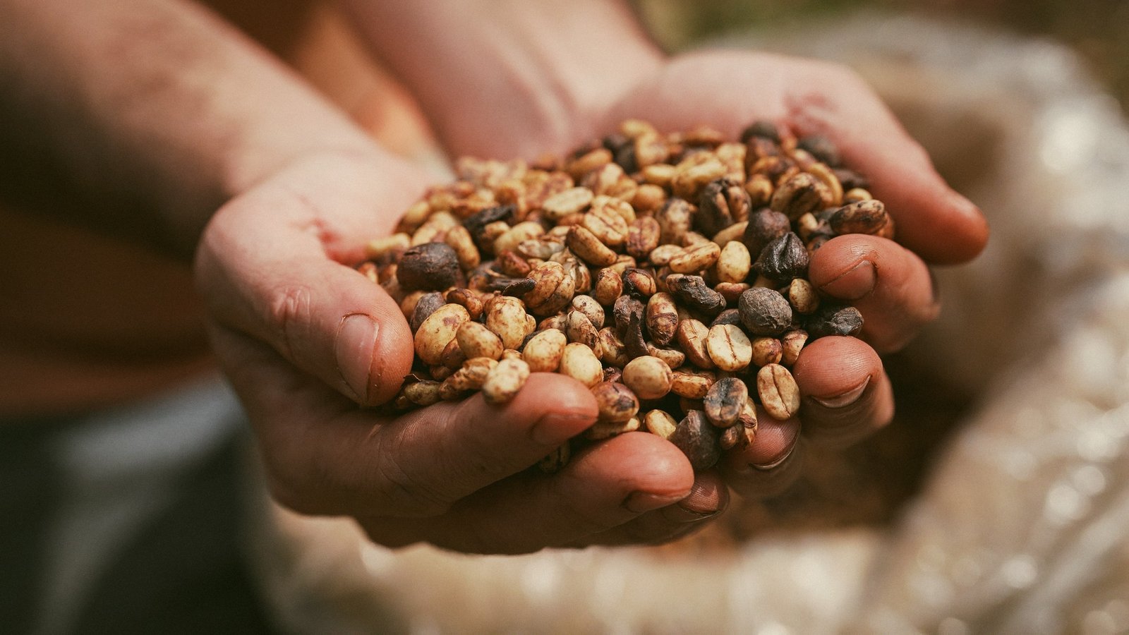 Quem paga a conta da nova tarifa de Trump? Brasil perde mercado, e preços podem subir nos EUA