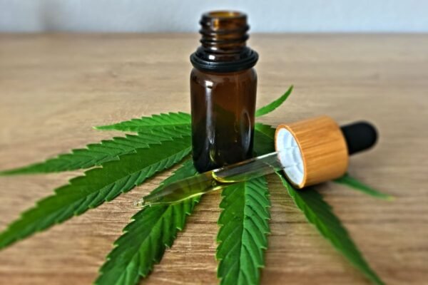 Cannabis medicinal: Instituto abre agenda para consultas médicas gratuitas com especialistas Cannabis medicinal: Instituto abre agenda para consultas médicas gratuitas com especialistas