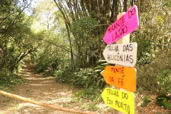 Parque dos Morros, o maior de Santos, é criado para preservação e regeneração ambiental