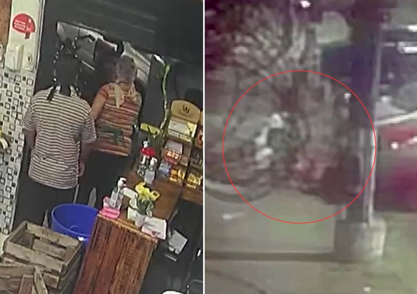 Comerciante é agredida por funcionário em Santos após cobrança de dívida; VÍDEO
