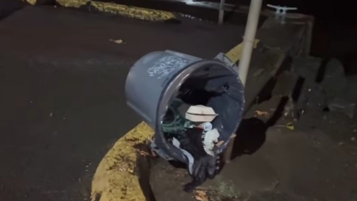 Carioca diz que alerta de tsunami foi o mais preocupante que já viveu no Havaí e, após alívio, compara a ressaca: ‘No RJ, água invadiu mais’