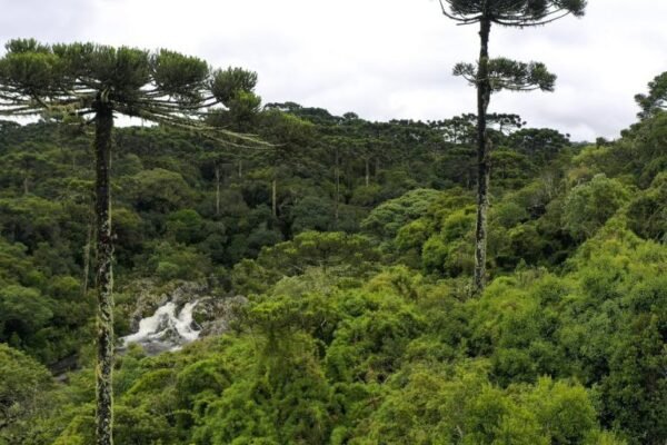Balanço do semestre: aprovadas novas regras para o licenciamento ambiental