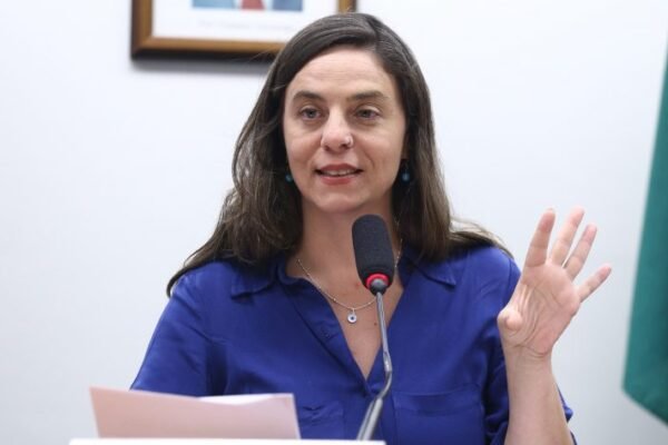 Governo propõe ampliar em 10% as bibliotecas escolares a cada ano até 2035