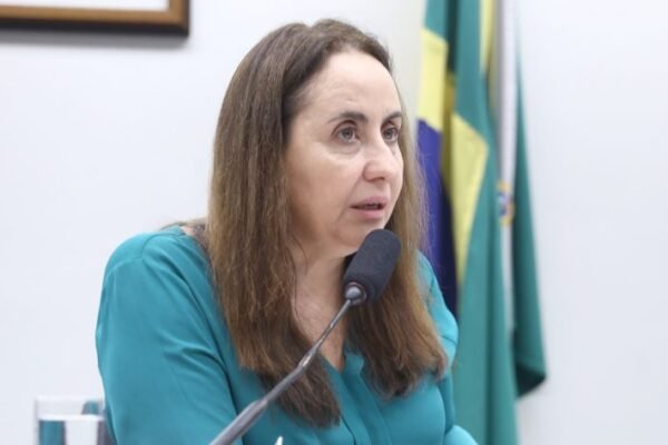 Projeto que cria Sistema Nacional de Educação divide opiniões em debate na Câmara Projeto que cria Sistema Nacional de Educação divide opiniões em debate na Câmara