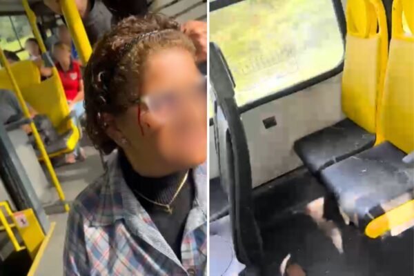 Mulher é atingida por azulejo durante ataque a ônibus no litoral de SP; VÍDEO