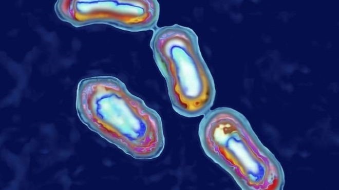 Paciente no Arizona morre depois de contrair peste pneumônica