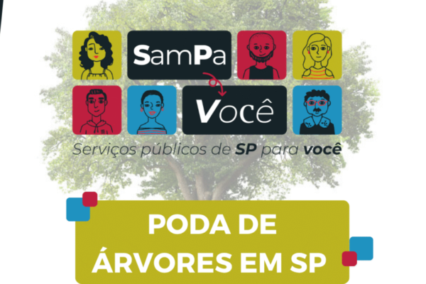 Sampa e Você explica o passo a passo do serviço de poda de árvores
