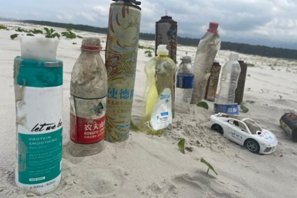 ONG encontra lixo internacional em área preservada de Bertioga; maioria é da China; VÍDEO