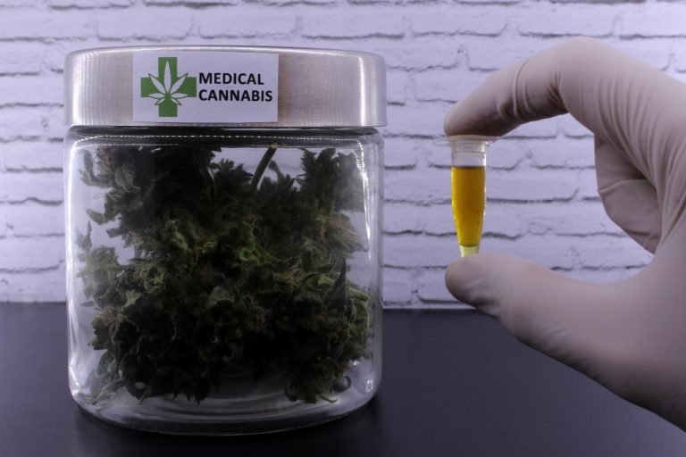Comissão debate apoio a associações civis dedicadas à cannabis medicinal