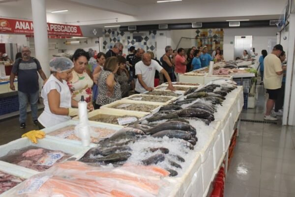 Festival da Tainha e Camarão tem pescados a partir de R$ 12,99 em Santos; confira