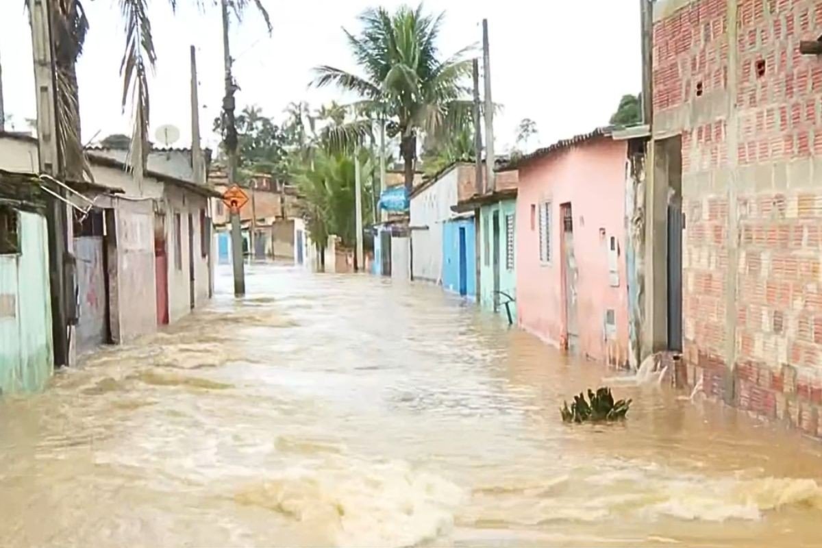 Enchentes no Vale do Ribeira: produtores e empresas podem pedir crédito emergencial