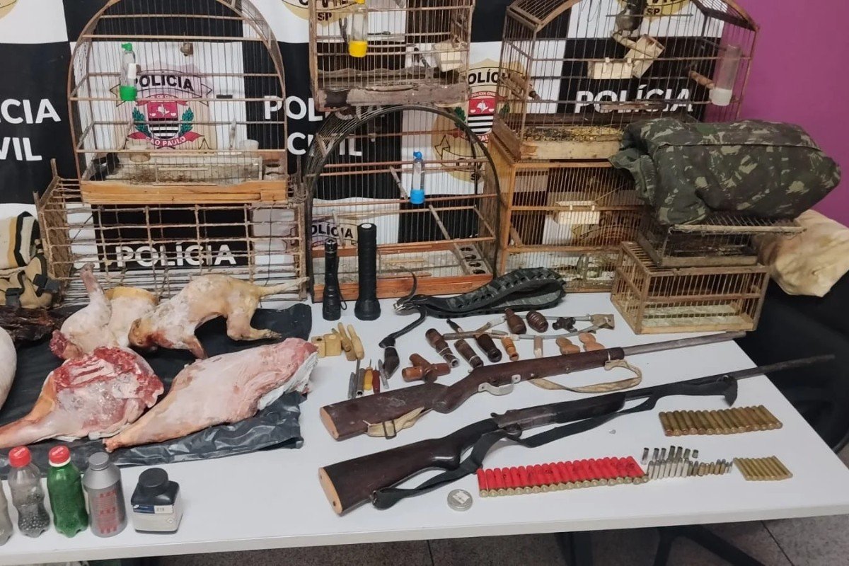 Homem é preso e multado em R$ 54 mil por abate ilegal de animais silvestres no interior de SP